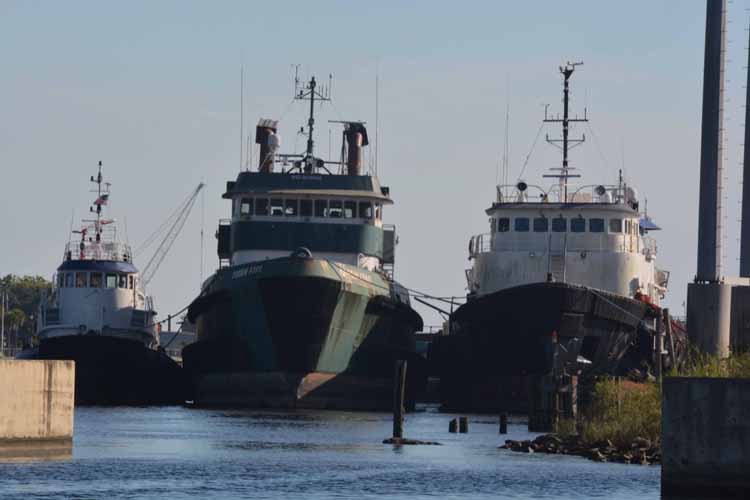 ships at port